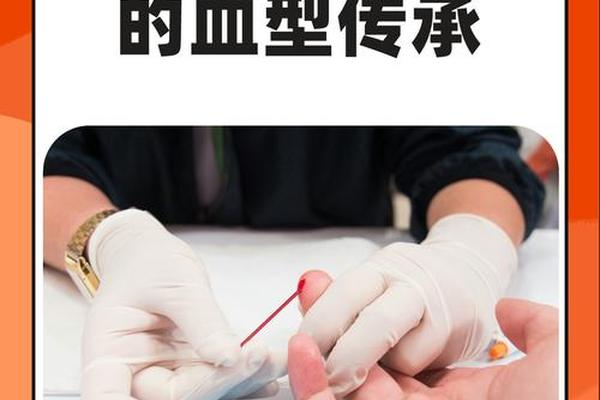 o血型和a血型的孩子(A和O生什么血型的孩子)