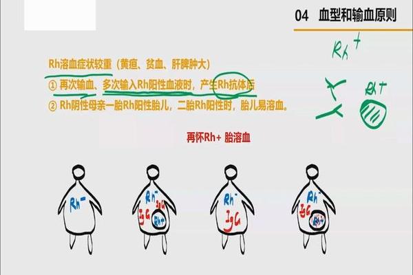 为什么a2血型可以输给a1血型(血型a1和a2有什么区别) 为什么a2血型可以输给a1血型(血型a1和a2有什么区别)
