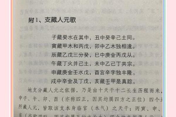 曲炜天干地支(曲炜最厉害的三本书)