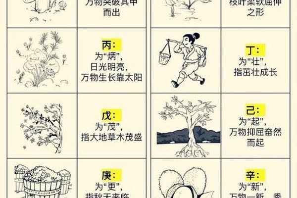 天干地支廖老师,天干地支手指掐算办法