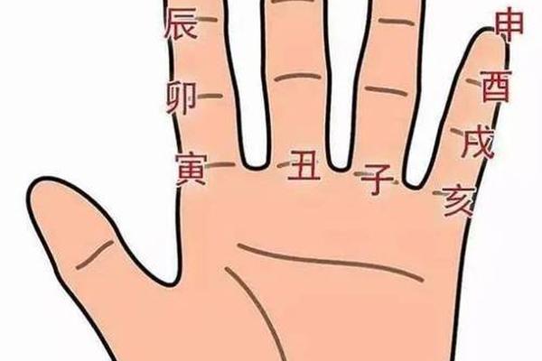 手掌快速换算天干地支;手掌推算日干支的方法