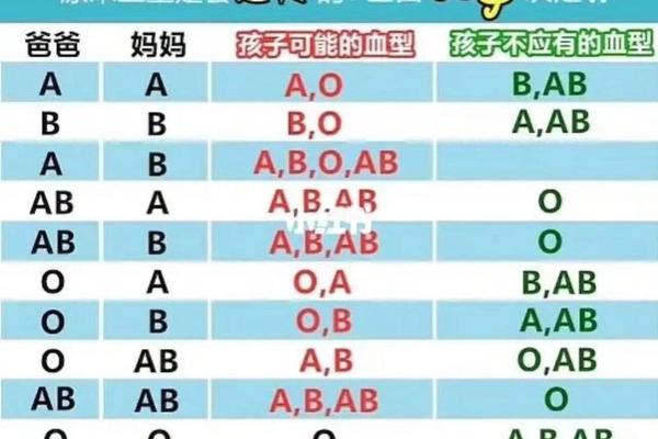 血型a型和b型相处,a型血和b型血生的孩子