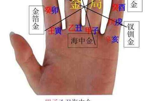 天干地支鼠标_十天干十二地支手掌图