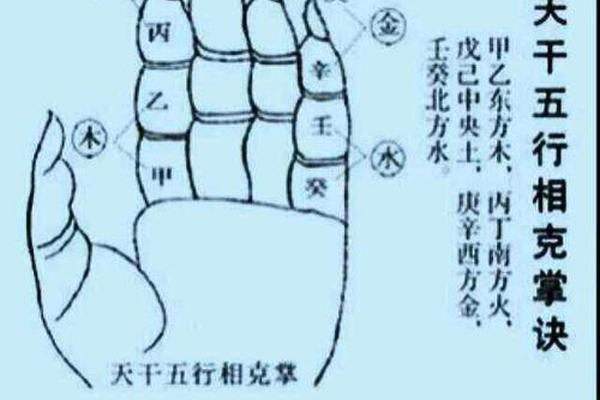 天干地支阴阳五行手型图;天干地支手指掐算方法