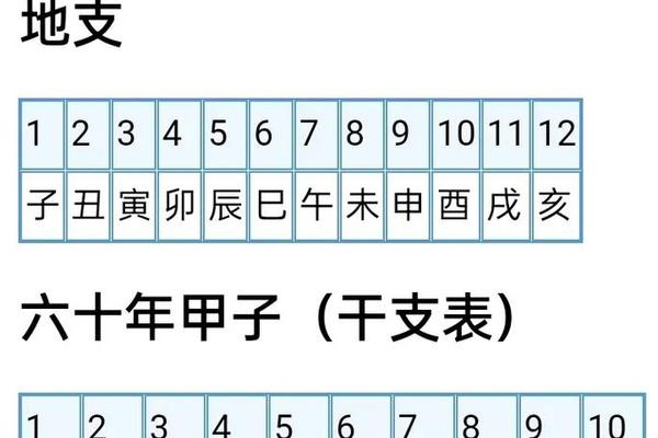 天干地支通数_天干地支通数和别数代表什么