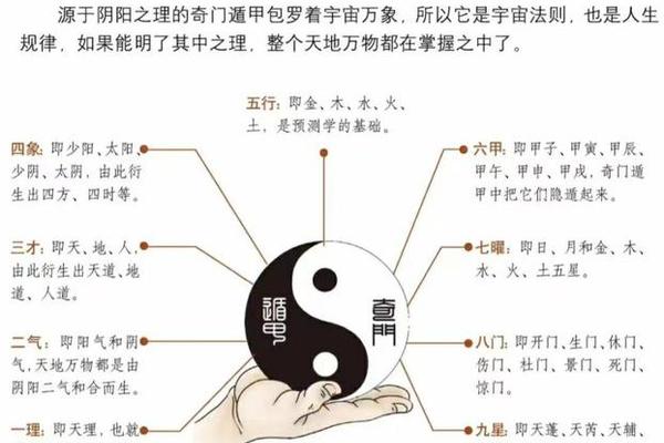 天干地支九星象意,奇门遁甲九星象意的知识精华