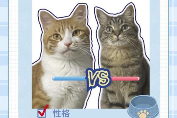 猫的血型a;a型血的猫和b型血的猫配种