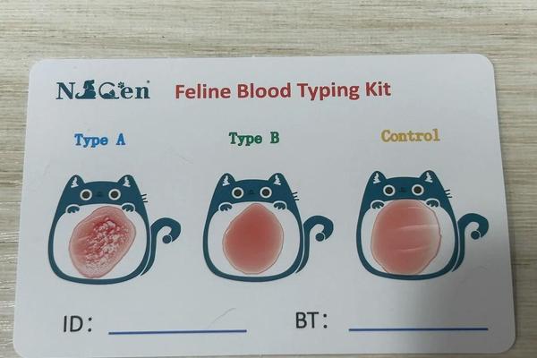猫血型母猫是a(什么猫都是A型血)