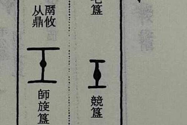 甲骨文天干地支(甲骨文天干地支怎么写图片)