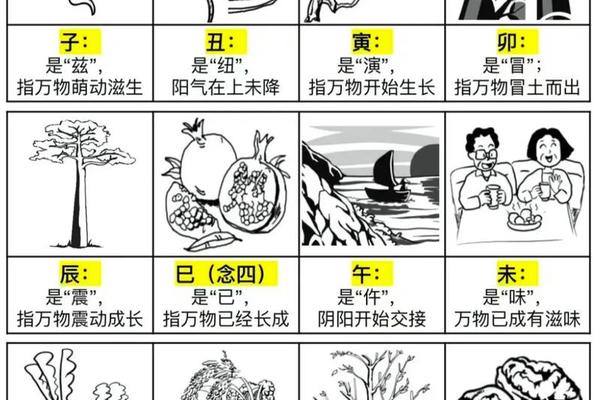 天干地支有影响吗、为什么禁止天干地支预测股市