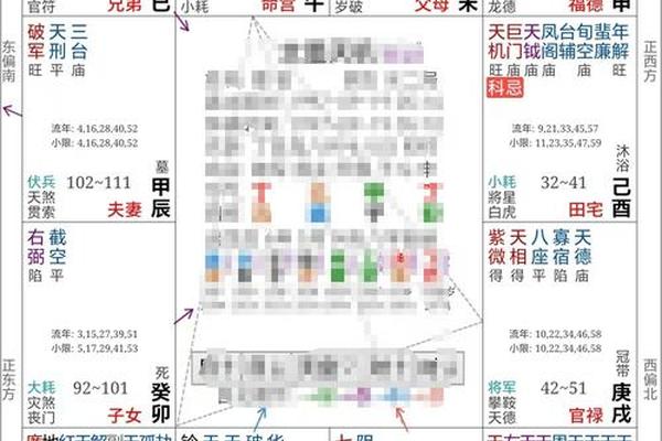 紫微大运天干地支(紫薇大运)