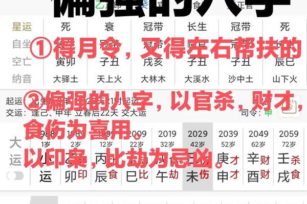 天干地支二八杠、大运的力量能占几成