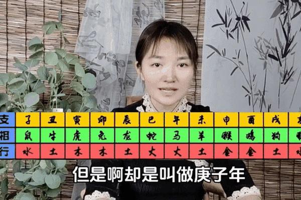 天干地支轮盘动态壁纸(天干地支大盘子图片)