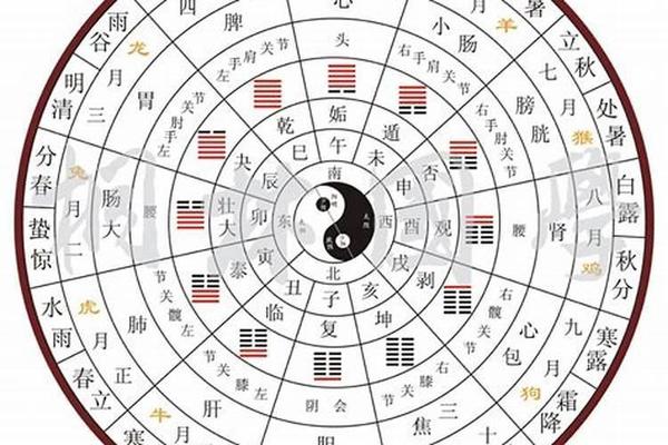 柬埔寨天干地支图表-柬埔寨民族