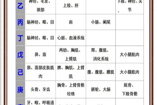 1991辛未年天干地支 1991年八字对照表