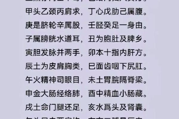 天干地支代表能量、数字能量12代表什么