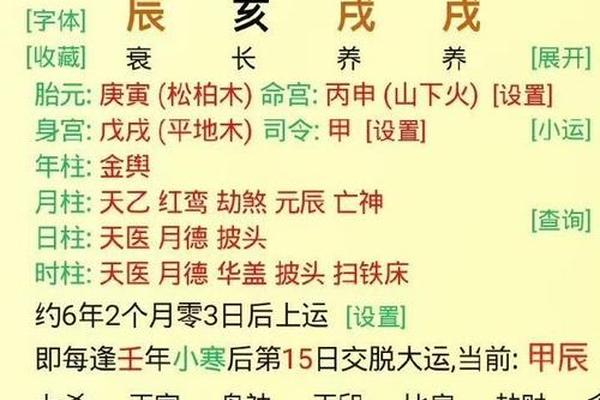 流年天干地支运气天符—什么是流年