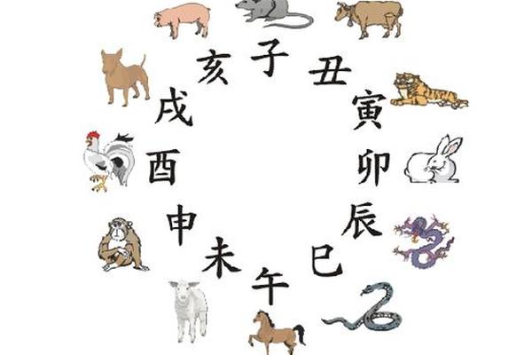 天干地支狗年;戊狗还是戌狗