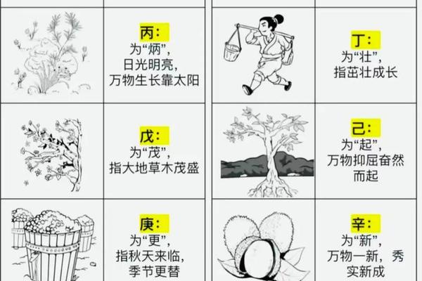天干地支玄学入门、生辰八字查天干地支