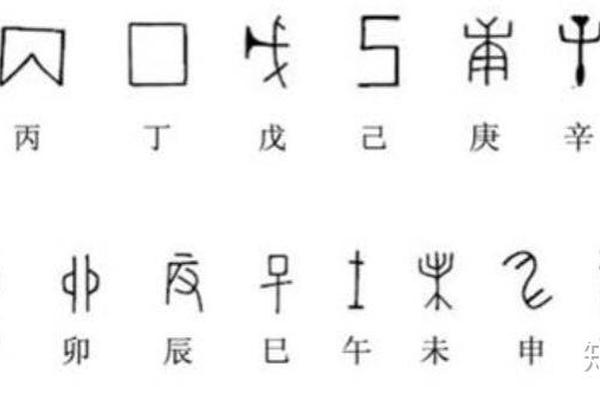 天干地支这甲骨起源、甲骨文字的演变历史