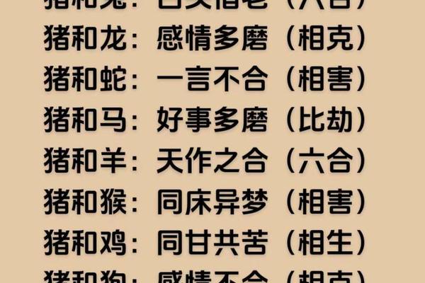 属猪的入门风水学