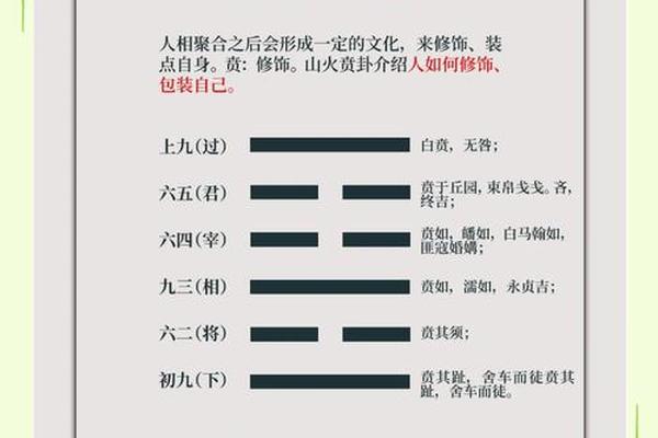 贲卦天干地支(山火贲卦详解)