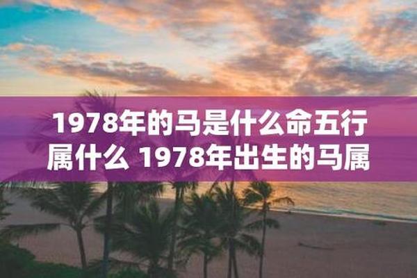 1978的天干地支_78年马是什么命 五行属什么