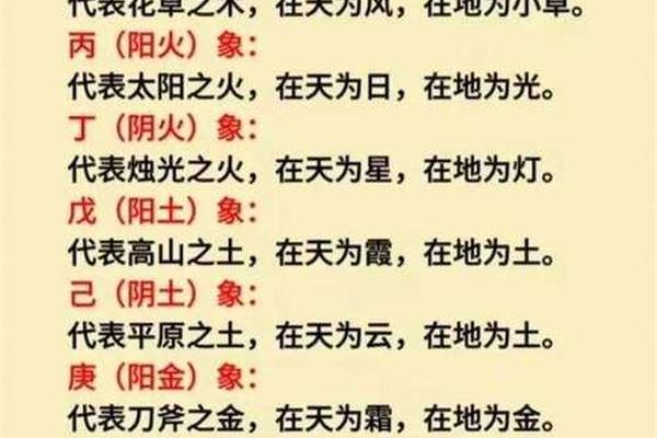 带星象的天干地支;八字天干地支代表的象