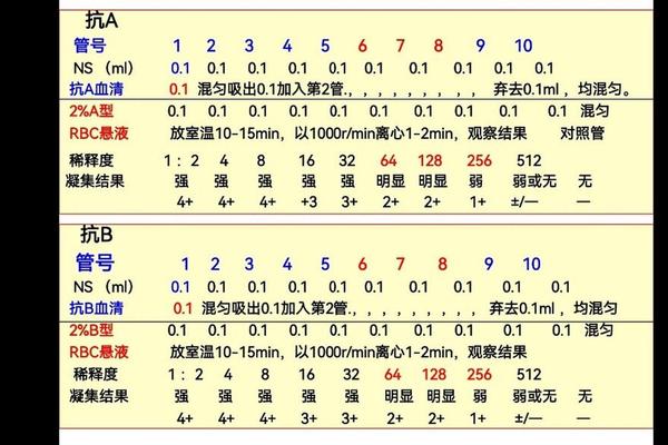 抗a抗b血型测试正常值-测血型抗A抗B怎么看