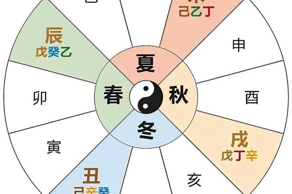 天干地支补充动画_地支对应的身体