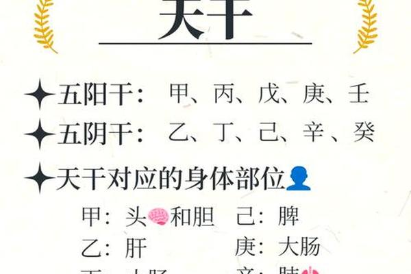 医君天干地支;天医在八字