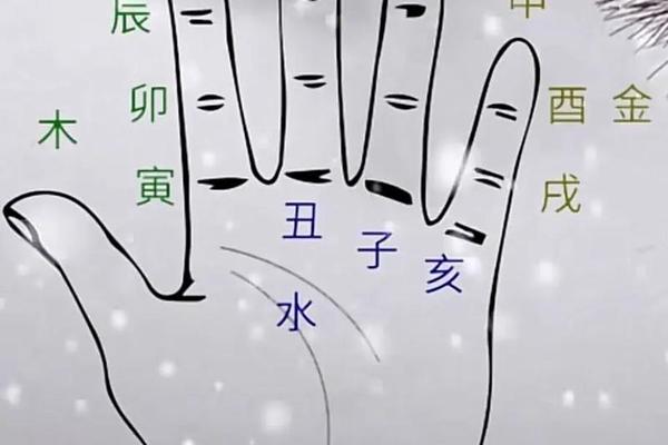 左手对应天干地支(十二地支与手掌对应位置)