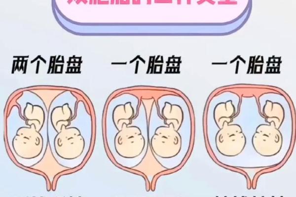 羊a血型(a跟b型血生出什么血型)
