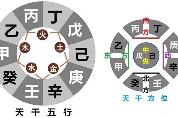 天干地支阳阴性-天干地支中的阳干阴干