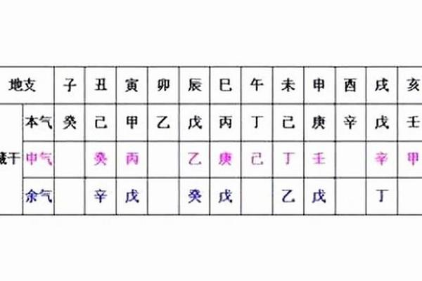天干地支藏干关系(天干地支藏干代表什么)