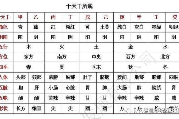 天干地支看胸、天干地支身体部位口诀