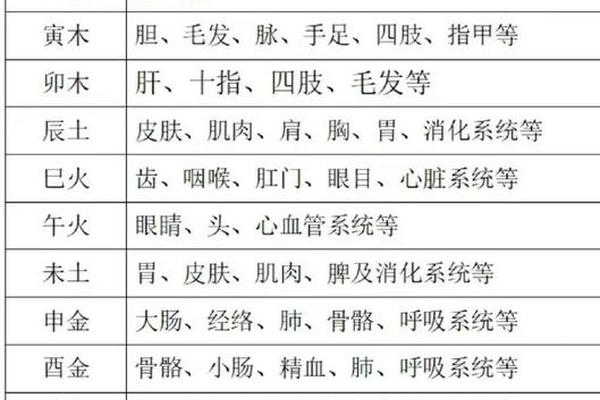 天干地支怎么看人的身体 十天干十二地支对应身体部位