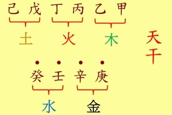 乙己天干地支(八字中乙己丁代表什么)