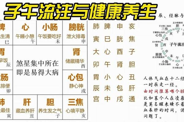 天干地支和子午流注,子午流注详细解释