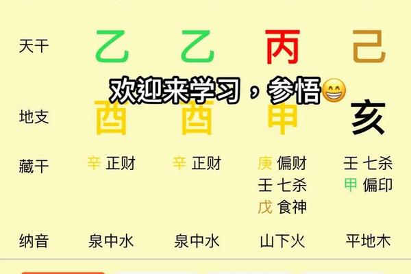 易奇文化天干地支 易奇八字命盘(免费版)下载