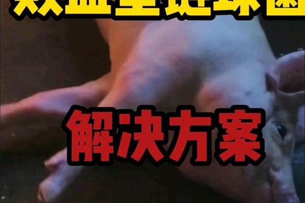 a血型的猪、猪的15种血型有哪些