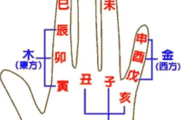 天干地支长幼—掌上天干地支图