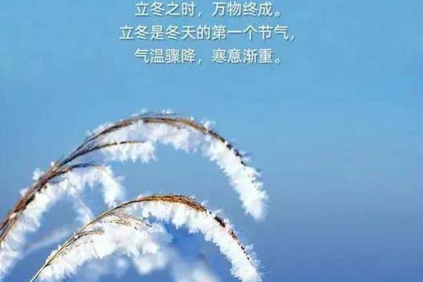 今年立冬的天干地支、今年立冬