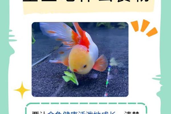 金鱼天干地支查看_金鱼属什么五行