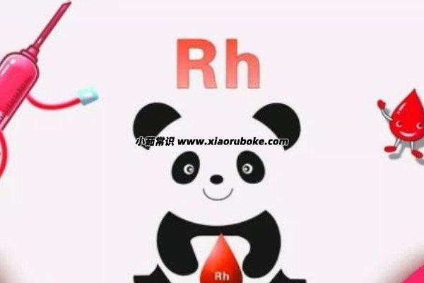 A血型贵吗,A型血为什么叫熊猫血