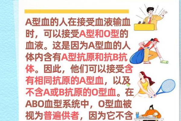 a型接受什么血型(A型血可以接受什么血)