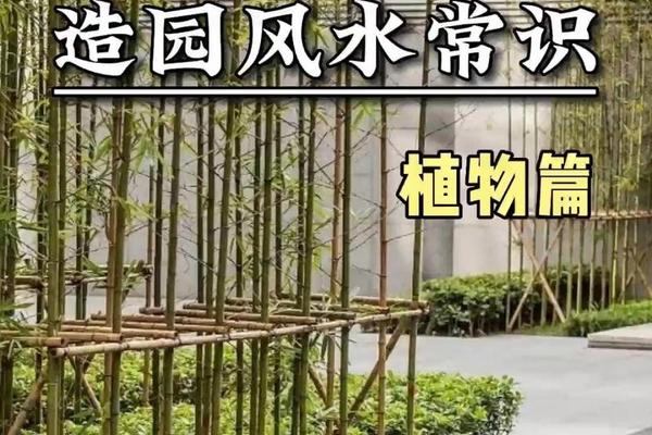风水学入门知识院子