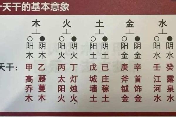男命天干地支阴阳、纯阳是最硬的命格吗