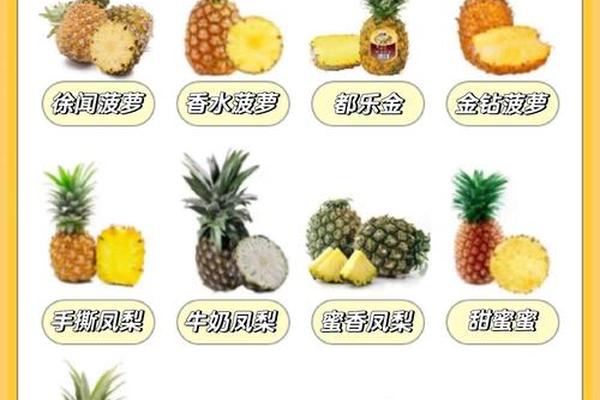 a血型人多吃菠萝—A型血适合吃什么食物