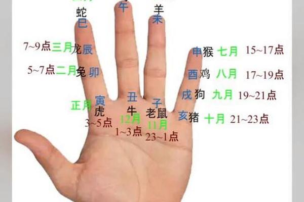 天干地支手掌解密-天干地支手掌排法
